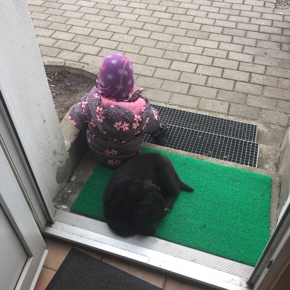 Blanding af racer Kino billede 4