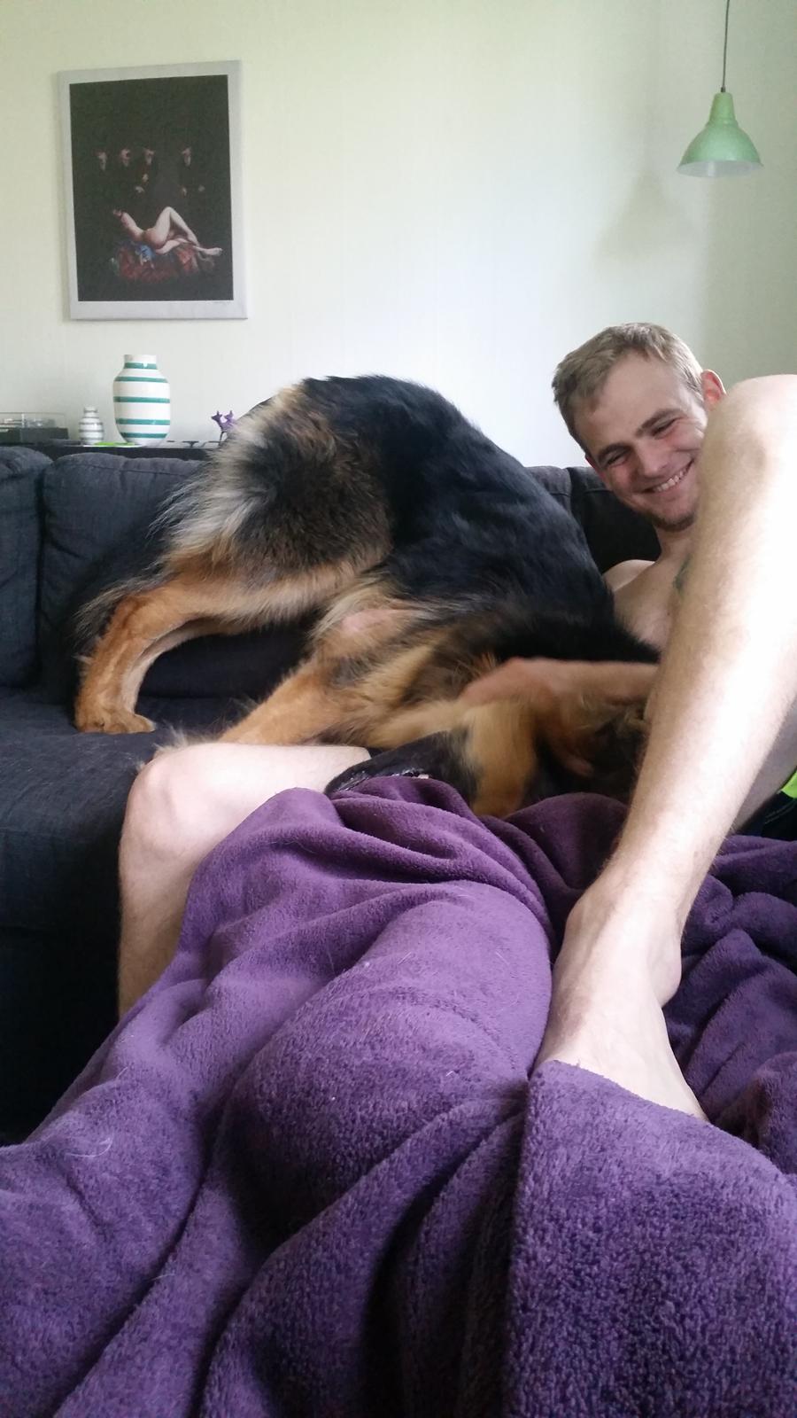 Schæferhund Kenzo billede 17