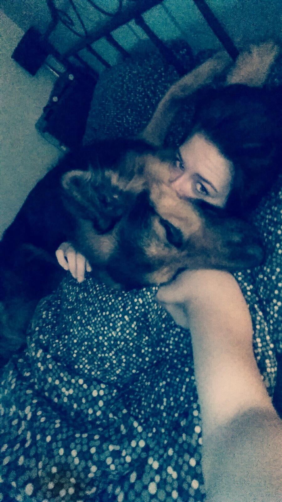 Schæferhund Kenzo billede 22