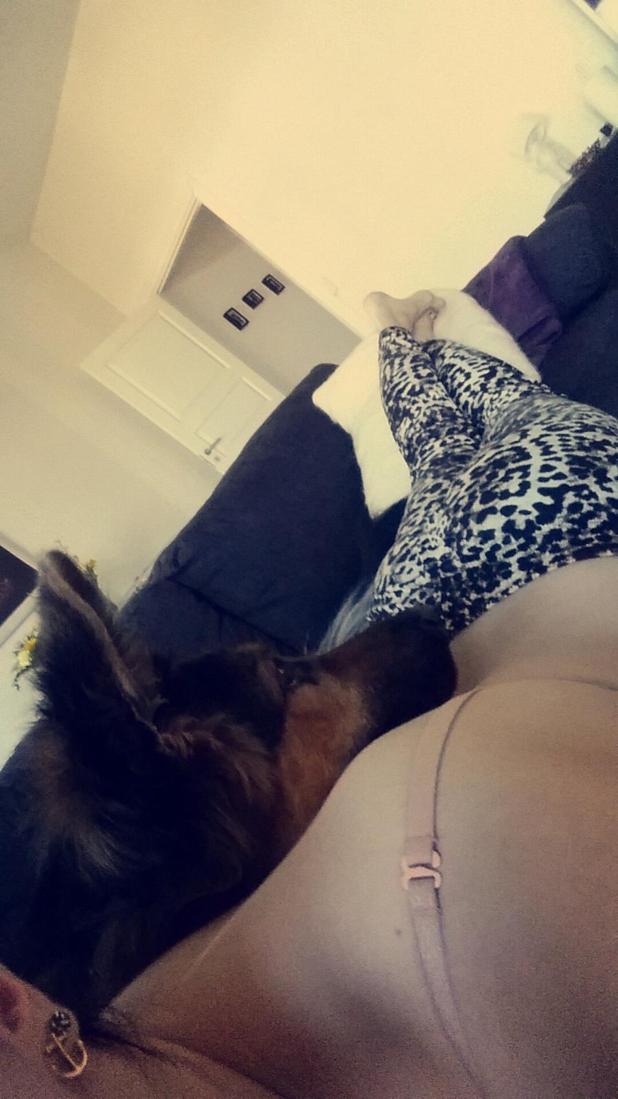 Schæferhund Kenzo billede 38