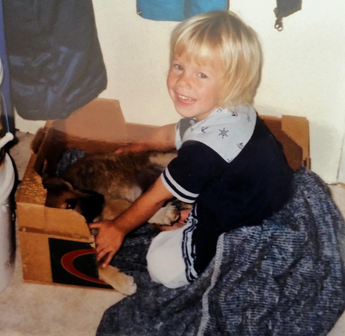 Islandsk fårehund Vaka <3  billede 3