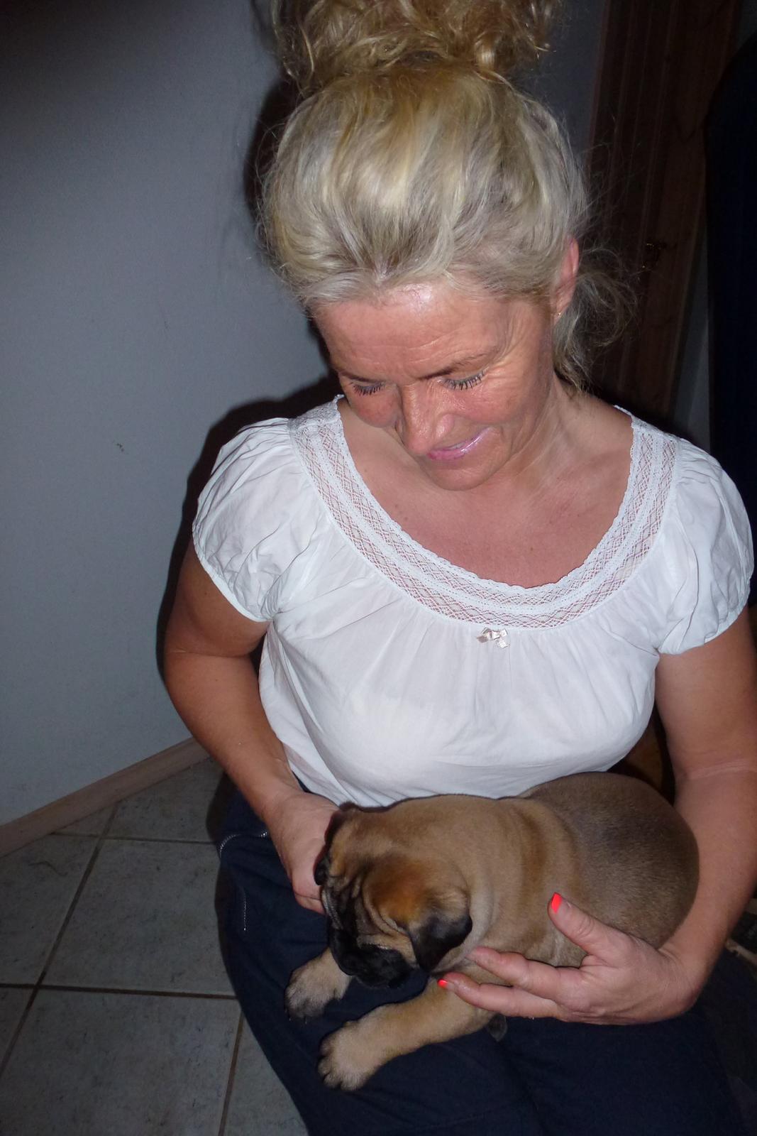 Bullmastiff Bullsaints Haress Al Dar - Mit første møde med Barney :-) billede 6