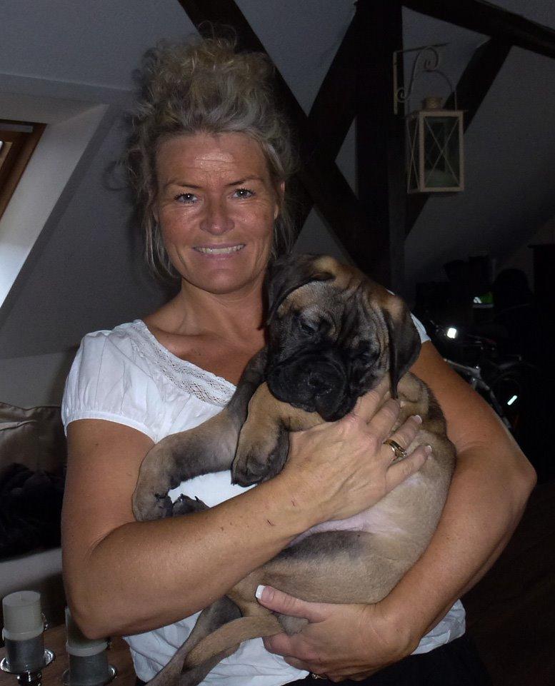 Bullmastiff Bullsaints Haress Al Dar - Barney & jeg 22 feb. 2015 billede 2