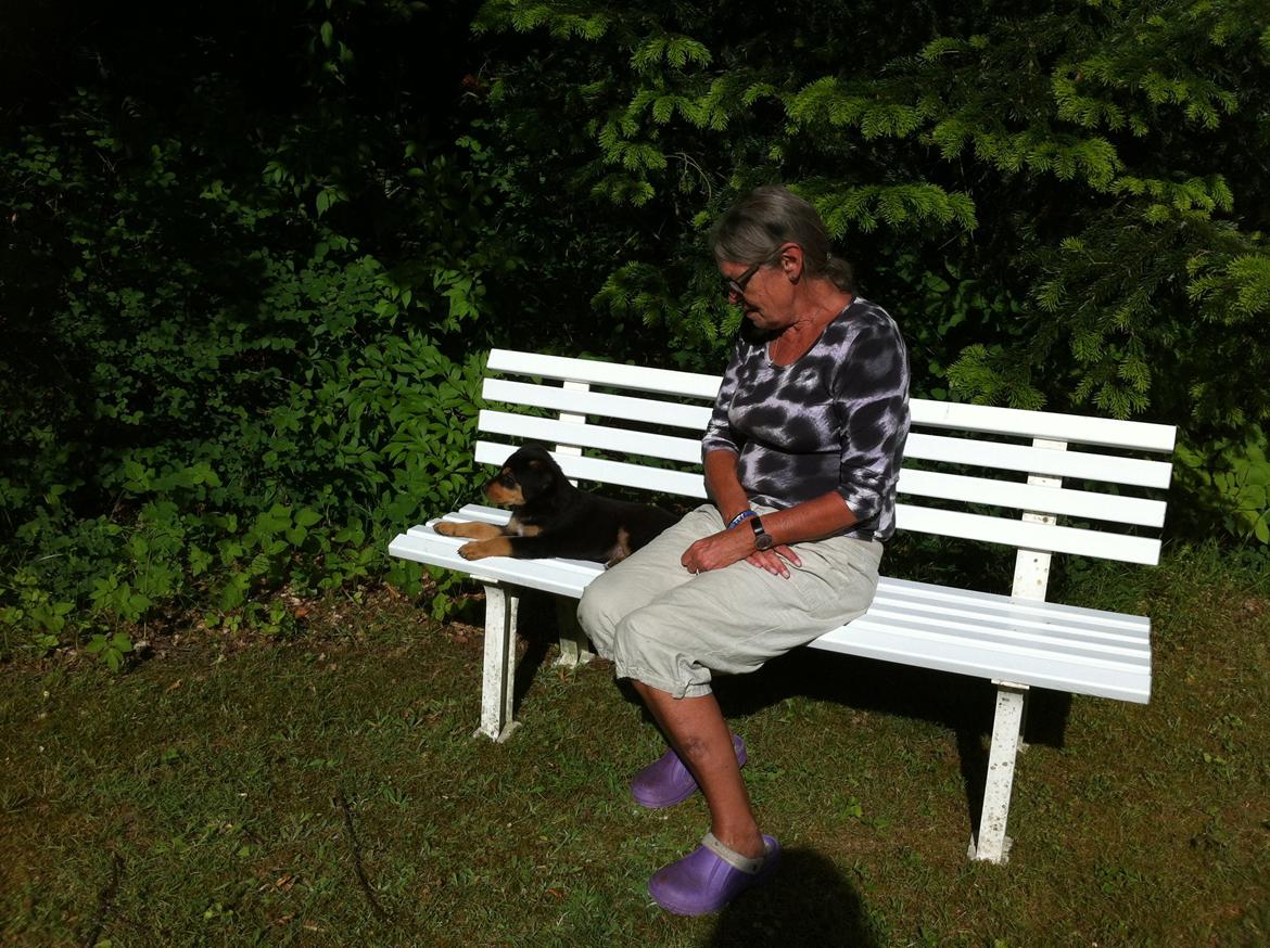 Blanding af racer ANTON - vi nyder en sommerdag billede 6