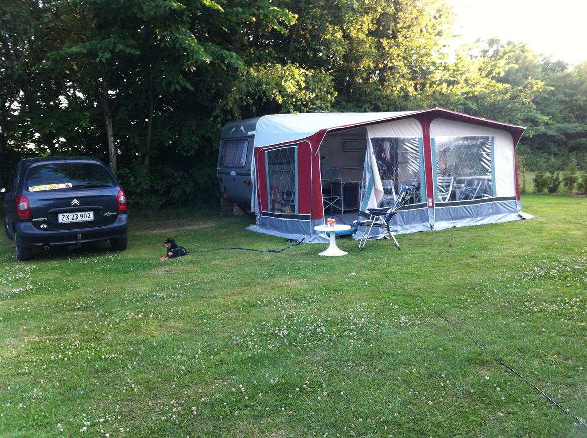 Blanding af racer ANTON - Anton holder vagt ved campingvognen billede 10