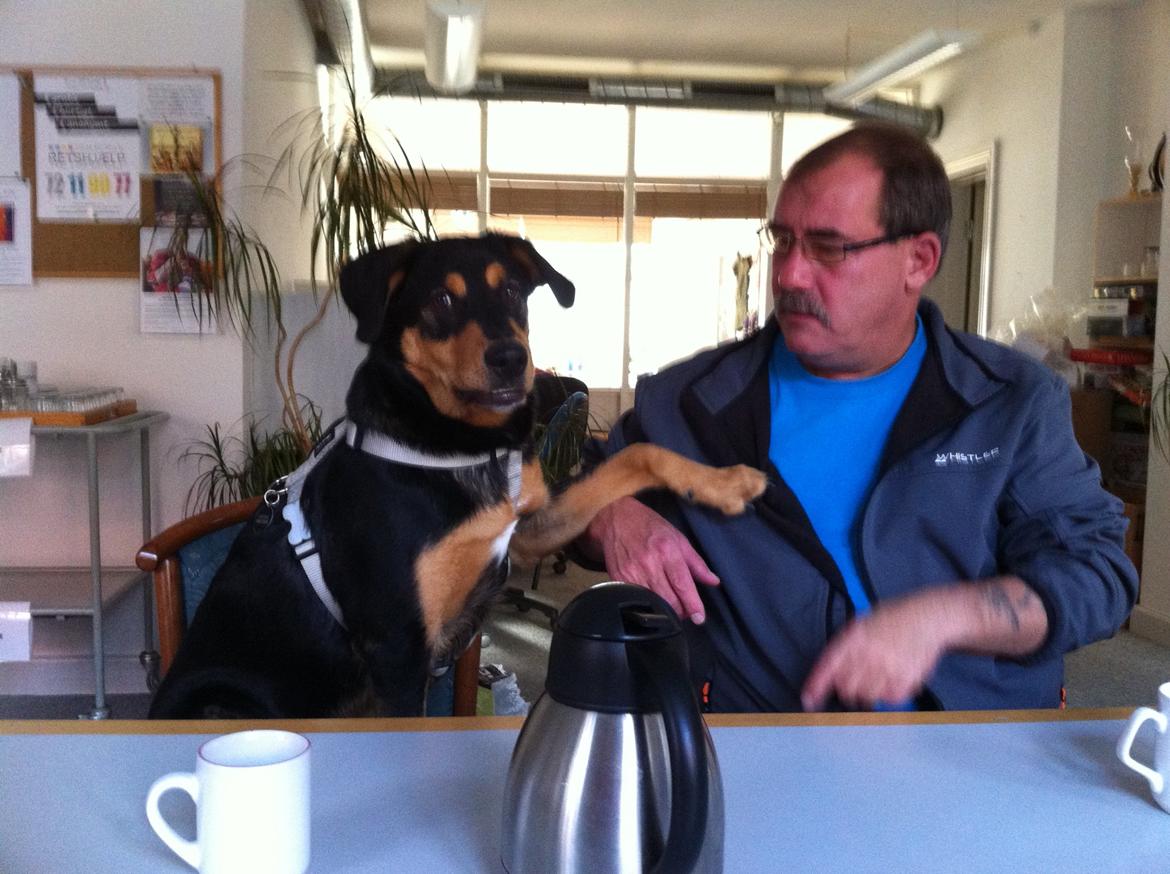 Blanding af racer ANTON - Anton sammen med sin bedste ven på arbejde billede 19