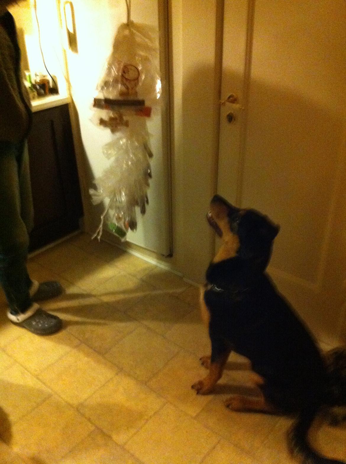 Blanding af racer ANTON - Anton får sin første pakkekalender billede 21