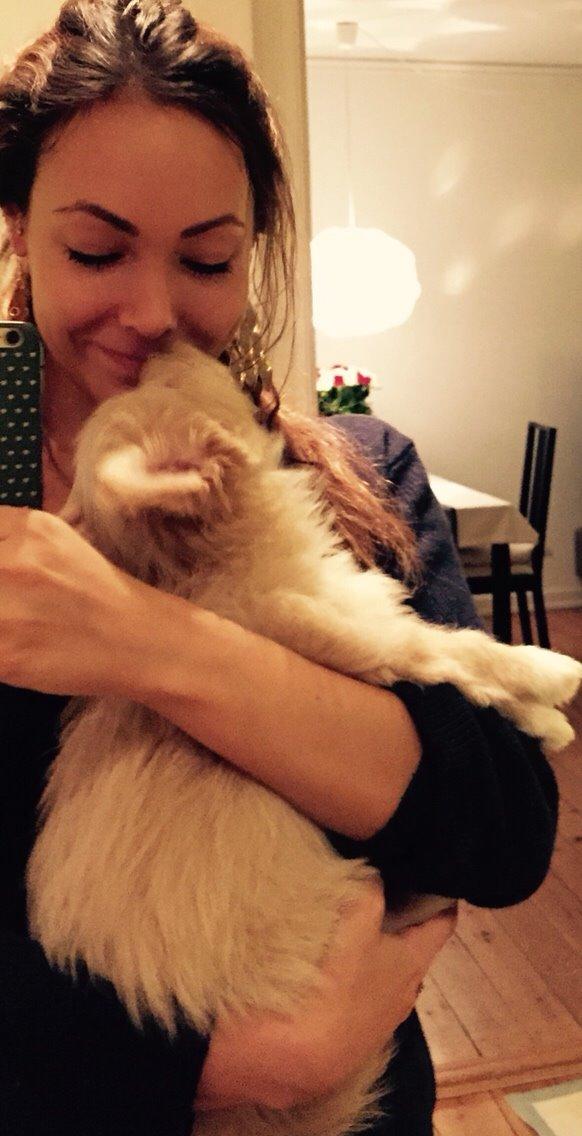 Blanding af racer Molly billede 17