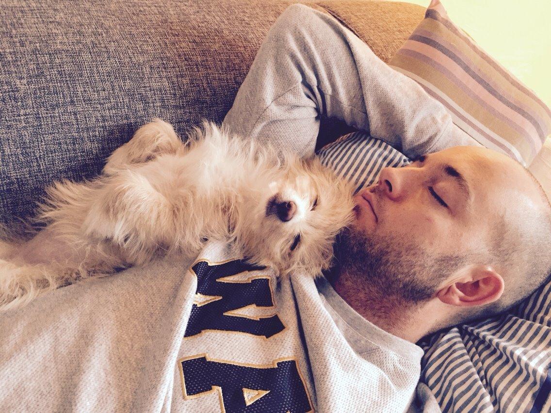 Blanding af racer Molly billede 33