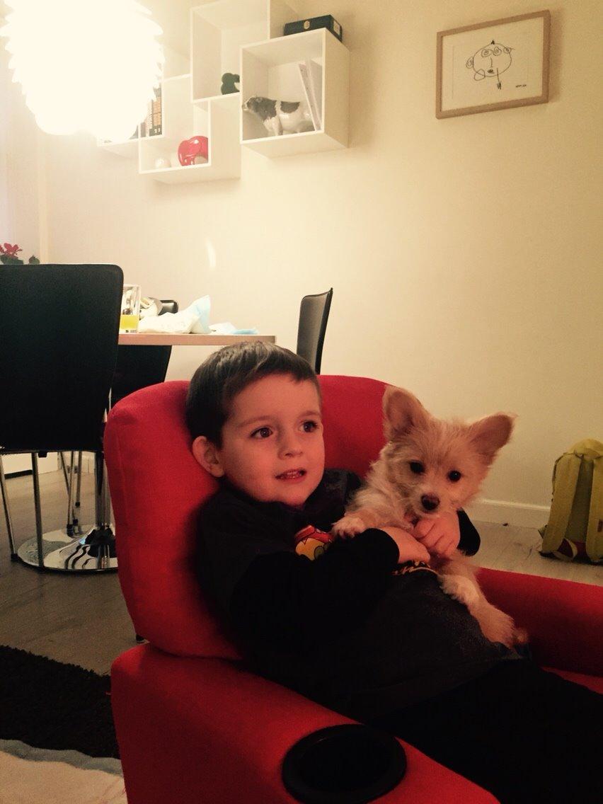 Blanding af racer Molly billede 36