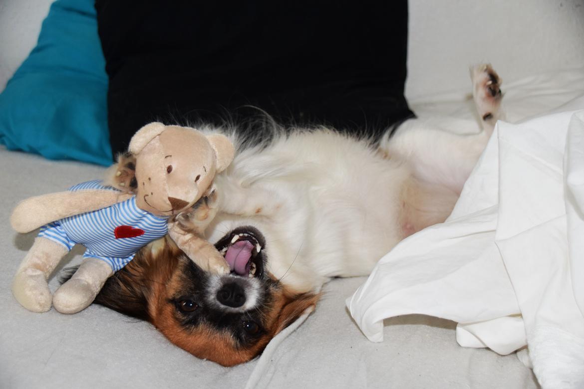 Blanding af racer Chanel billede 3