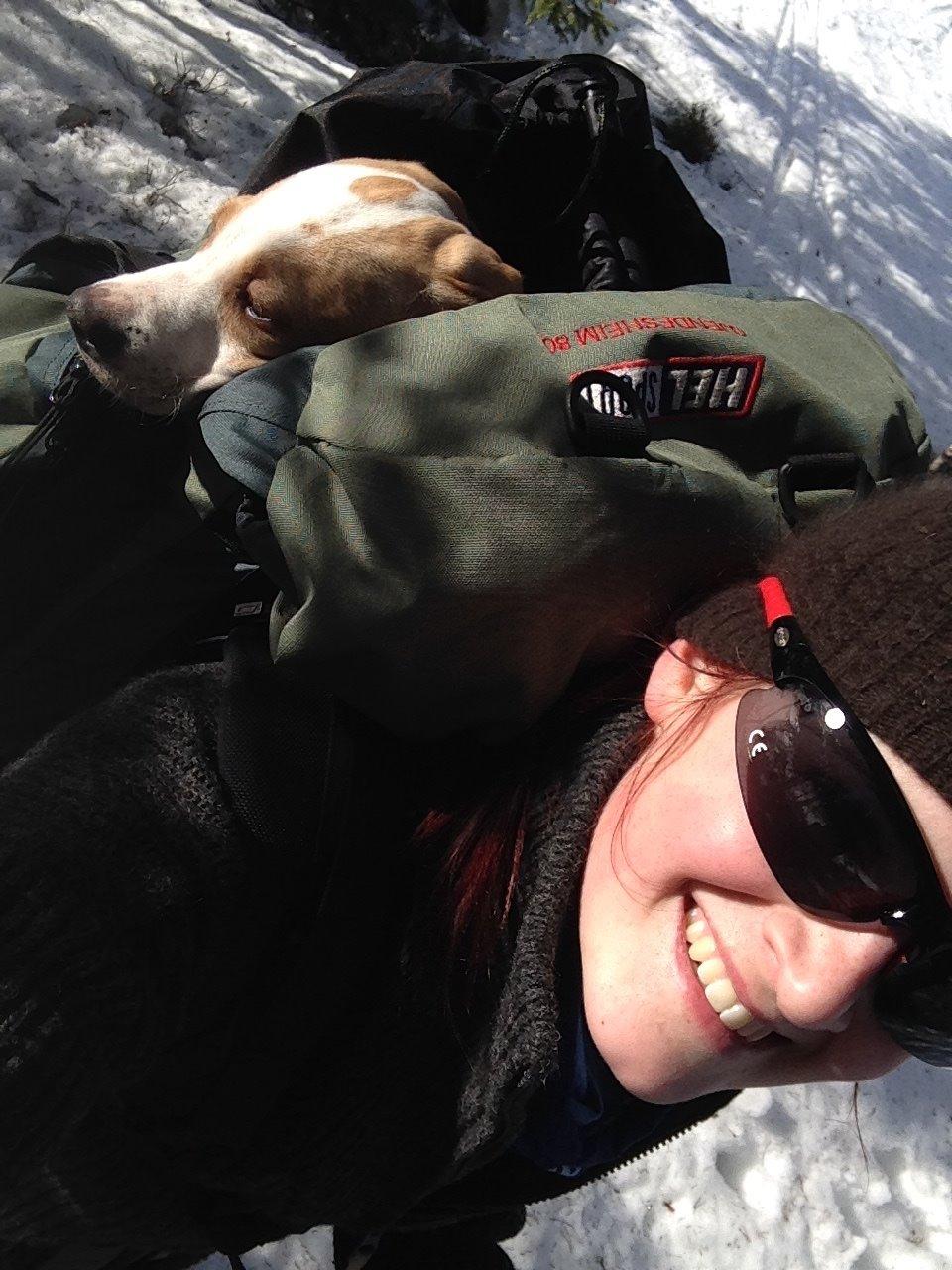 Pointer Tundra - Koser seg i sekken på skitur - Mars 2015 billede 13