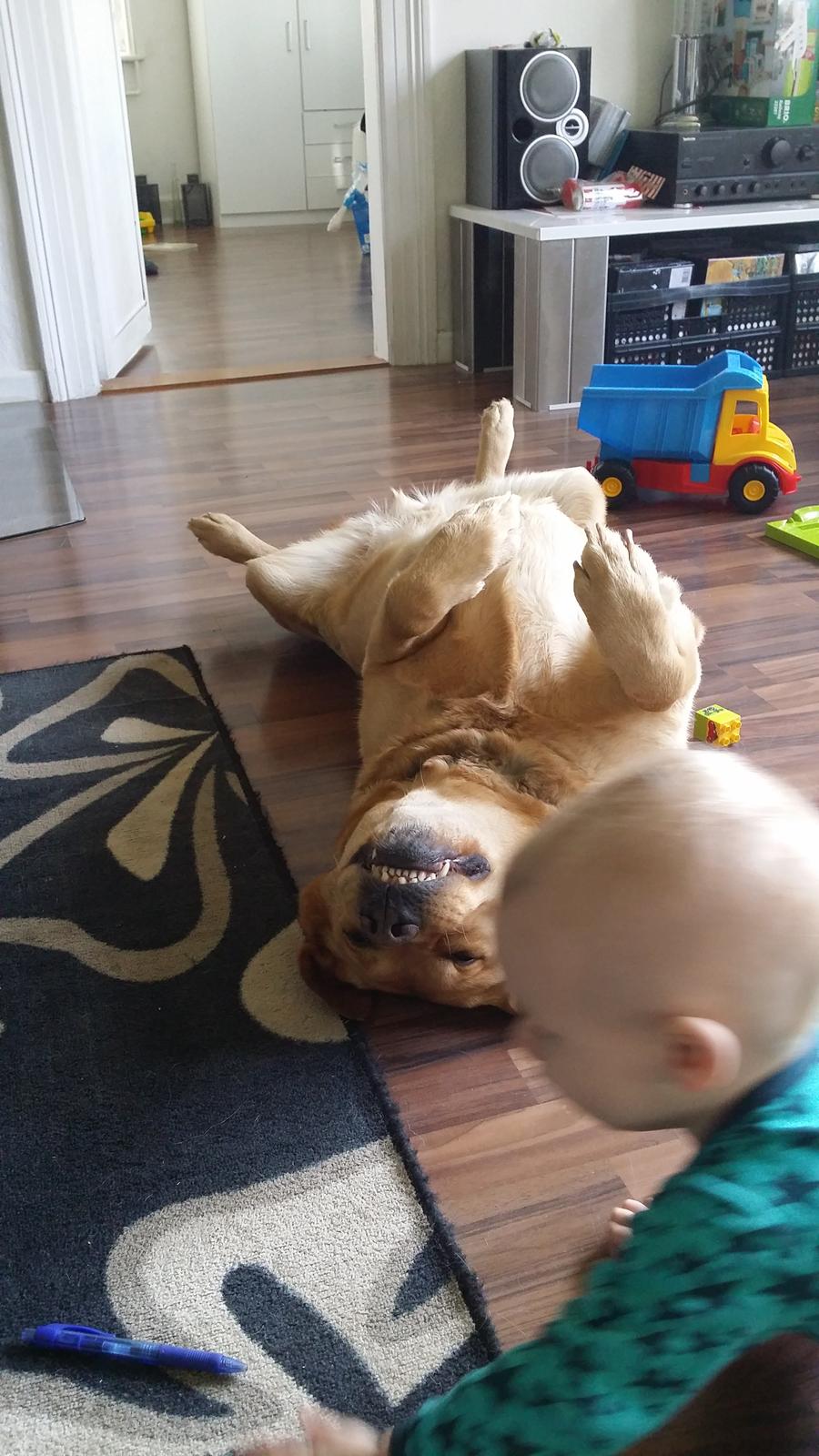 Blanding af racer Diego  - fjoller :D  billede 7