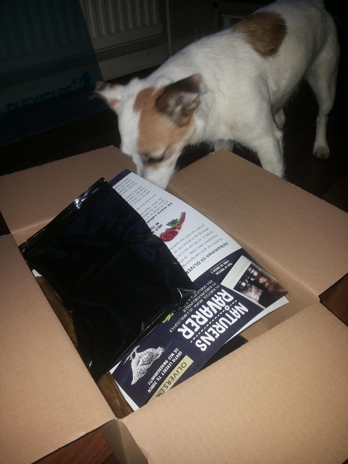 Blanding af racer Maugda billede 25