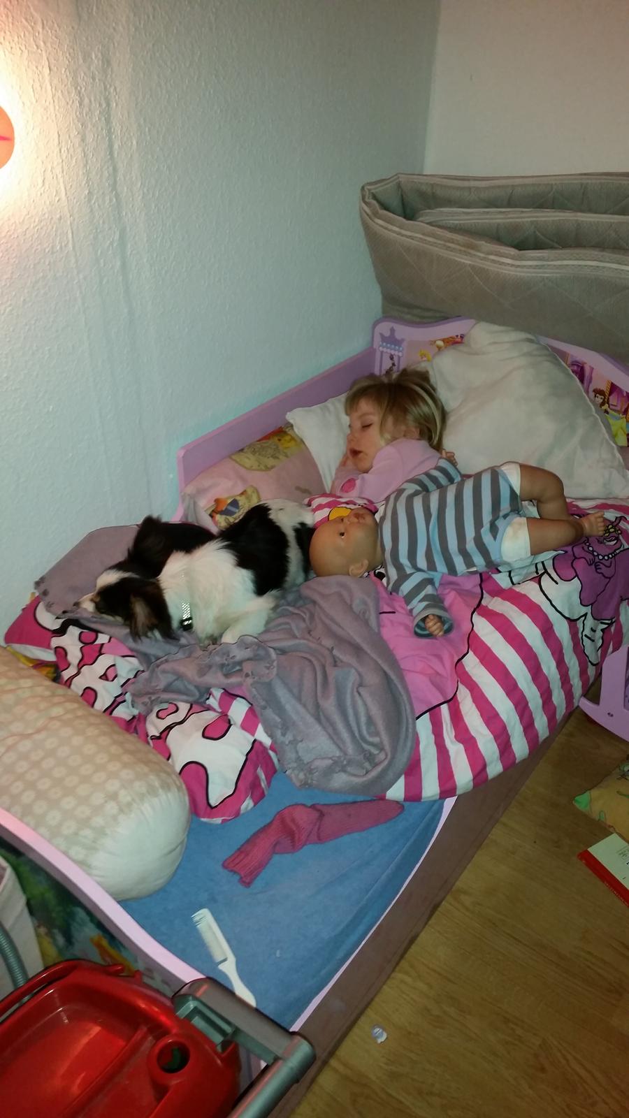 Blanding af racer Bella billede 10