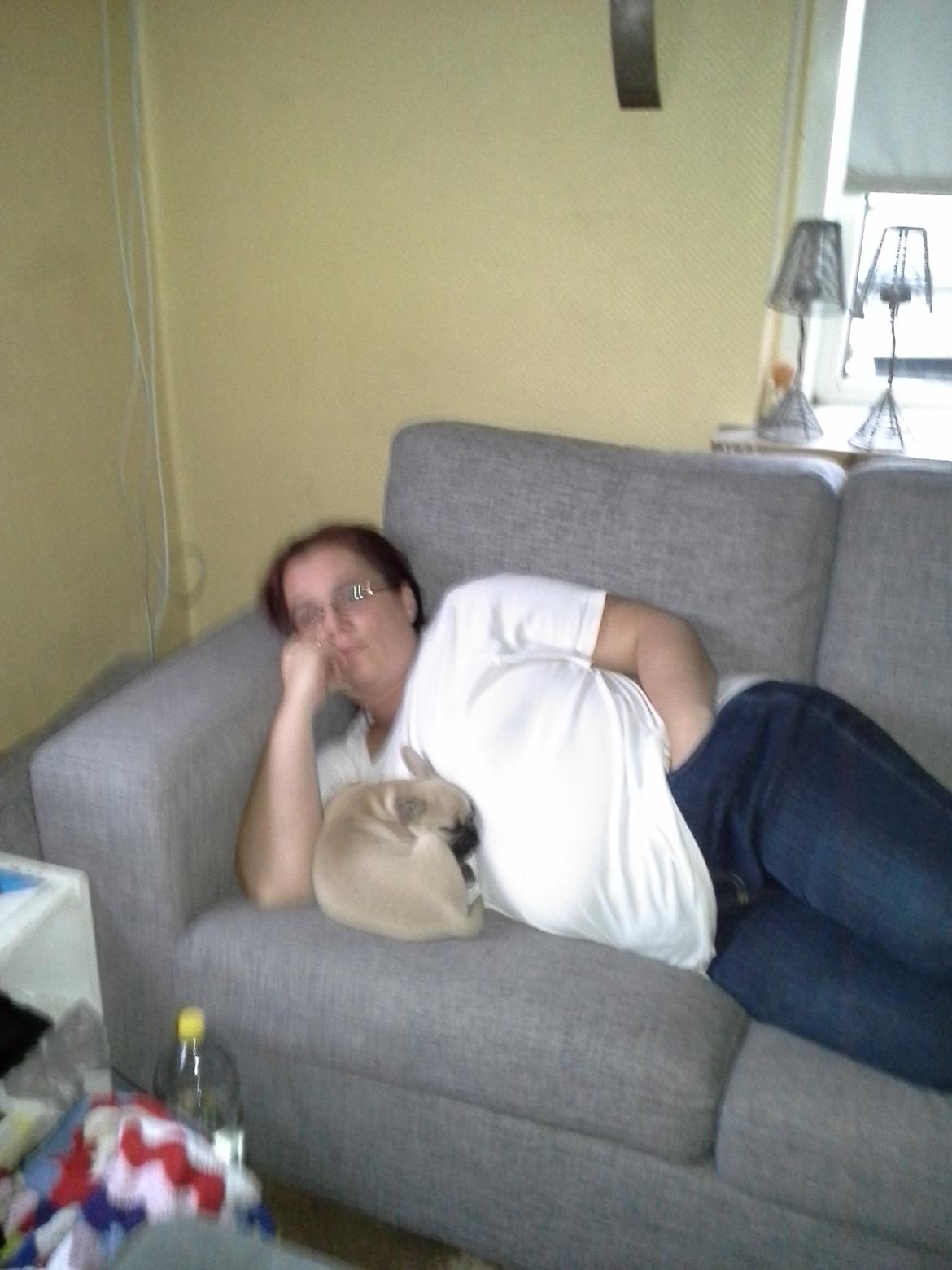 Fransk bulldog Bumle larsen billede 10