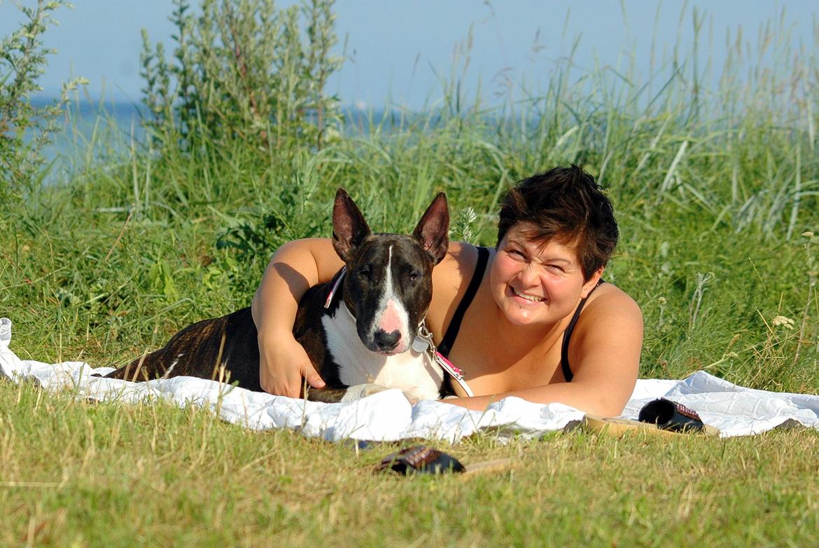 Bullterrier                     Jazzy - Hygge med Jazzy billede 33