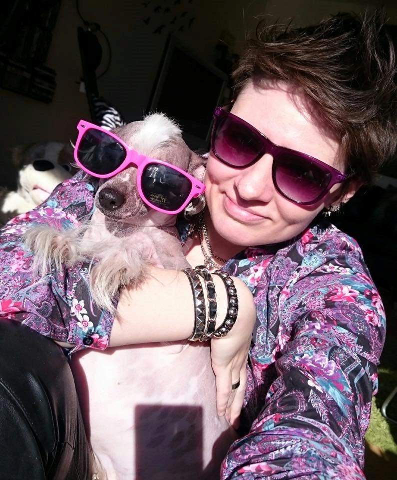 Chinese crested hårløs Spooky billede 23