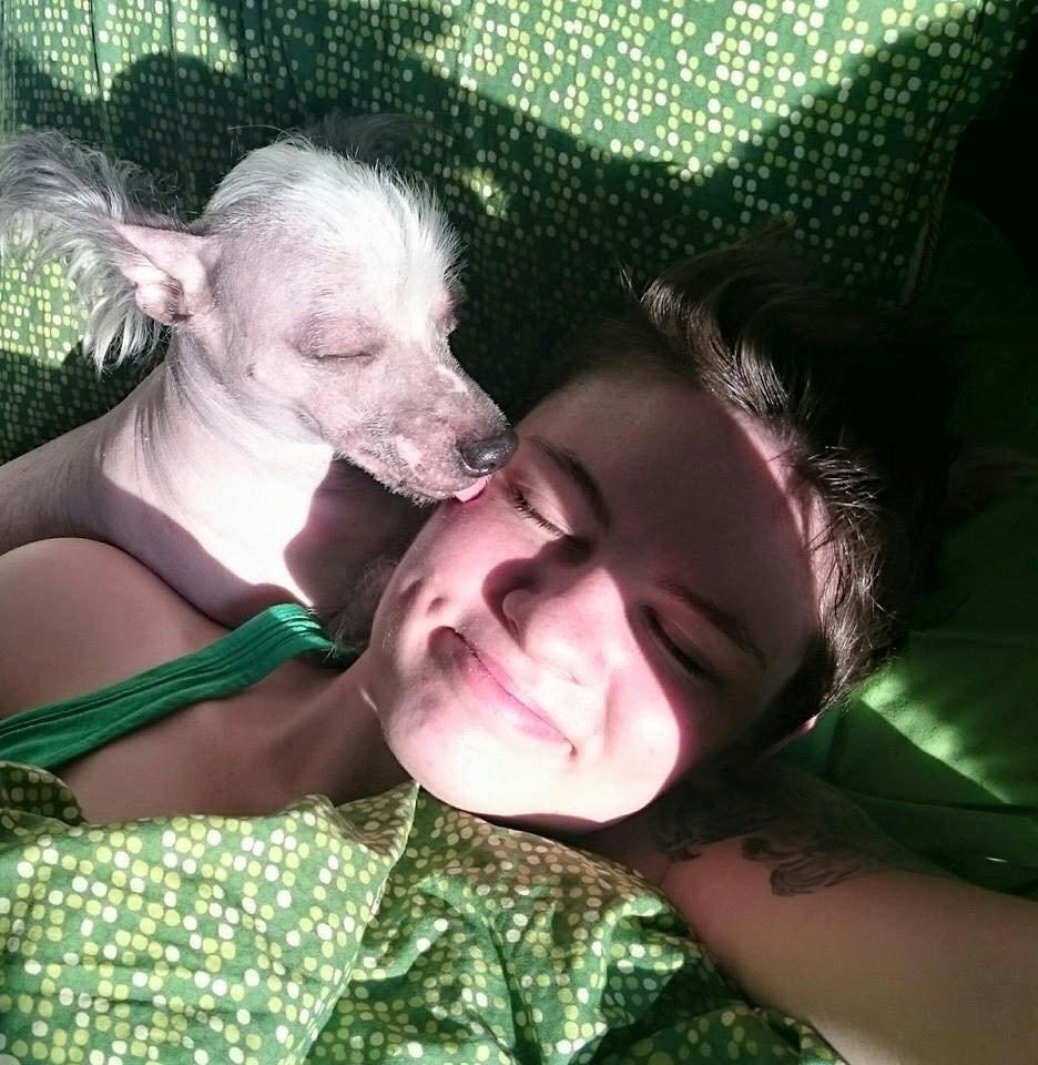 Chinese crested hårløs Spooky billede 19