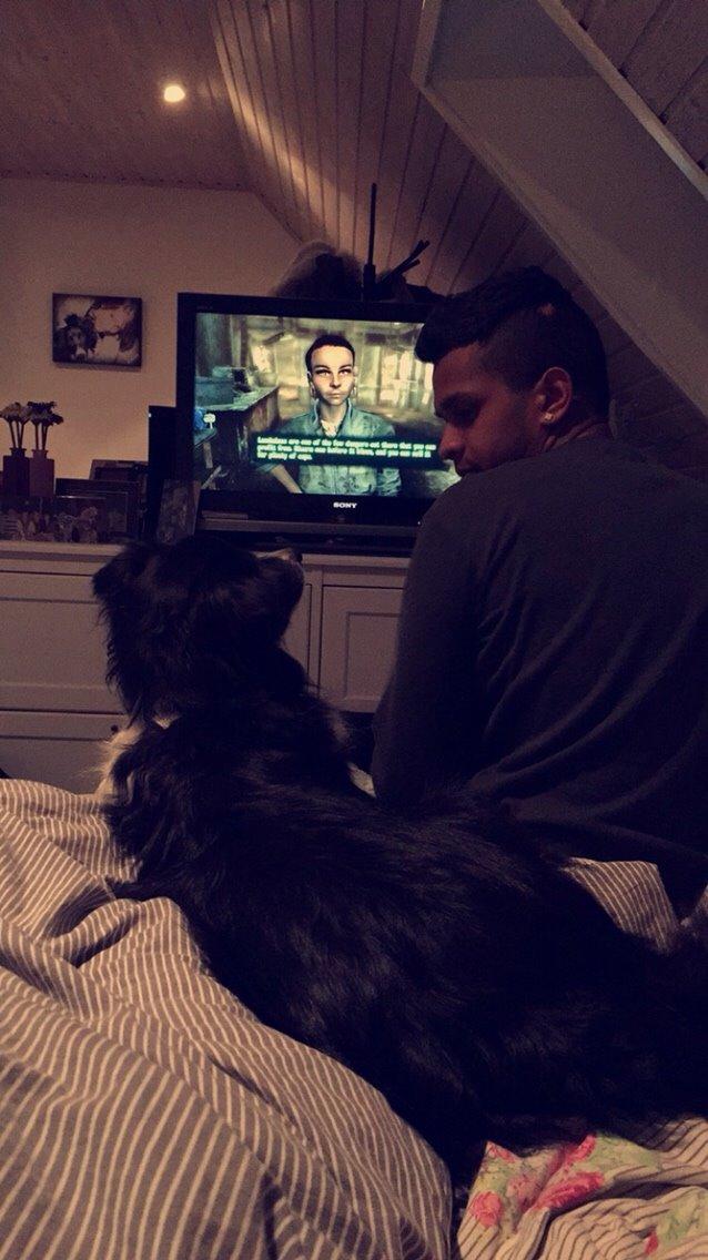 Border collie Soulshocks Sally billede 10