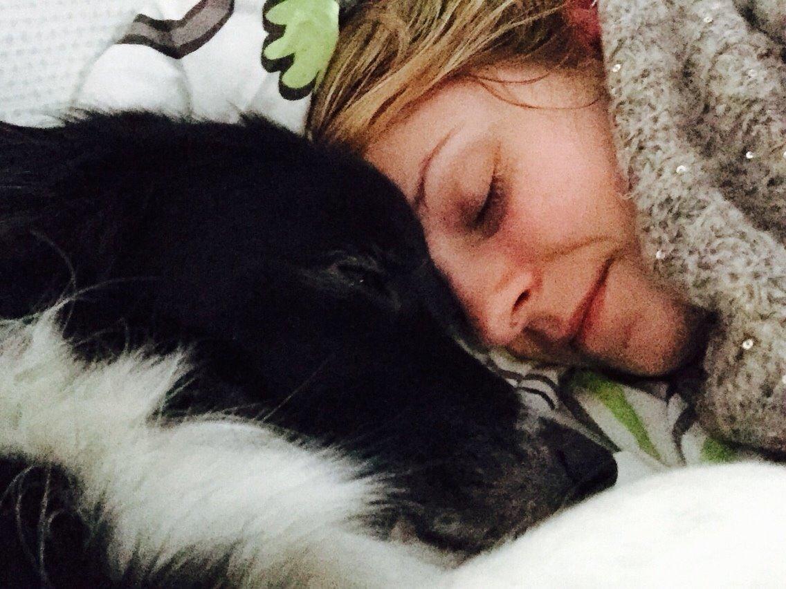 Border collie Soulshocks Sally billede 11