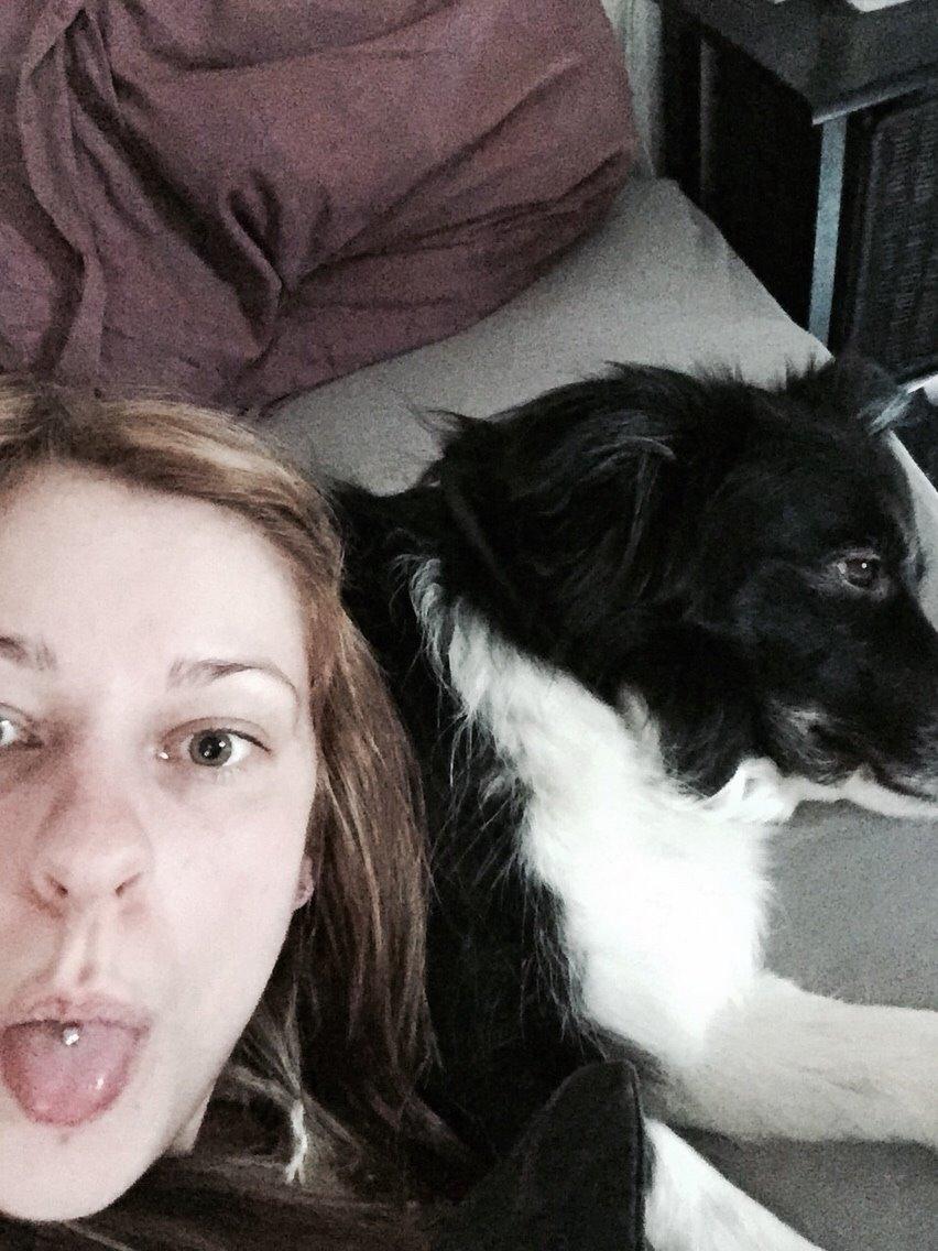 Border collie Soulshocks Sally billede 13