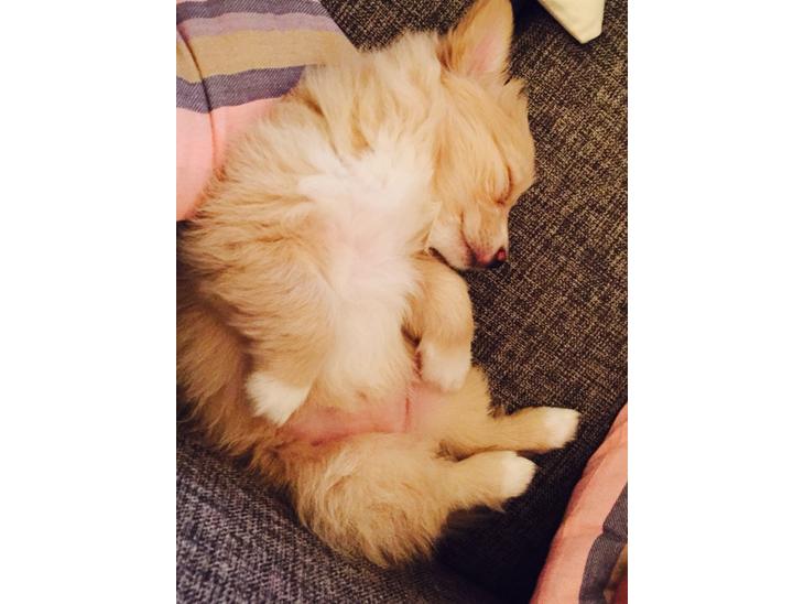 {{currentPhoto.altText}} billede {{currentPhoto.number}}