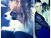 Papillon Nala <3