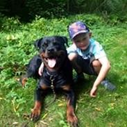 Rottweiler Berta