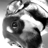 Blanding af racer Prinsesse Tia