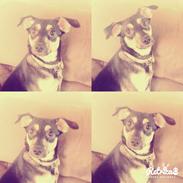 Blanding af racer Prinsesse Tia