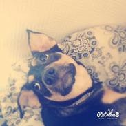 Blanding af racer Prinsesse Tia