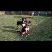 Blanding af racer Prinsesse Tia