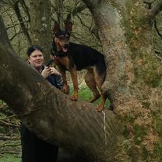 Blanding af racer Maya