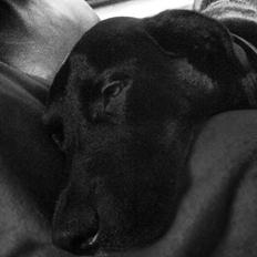 Blanding af racer Kessler