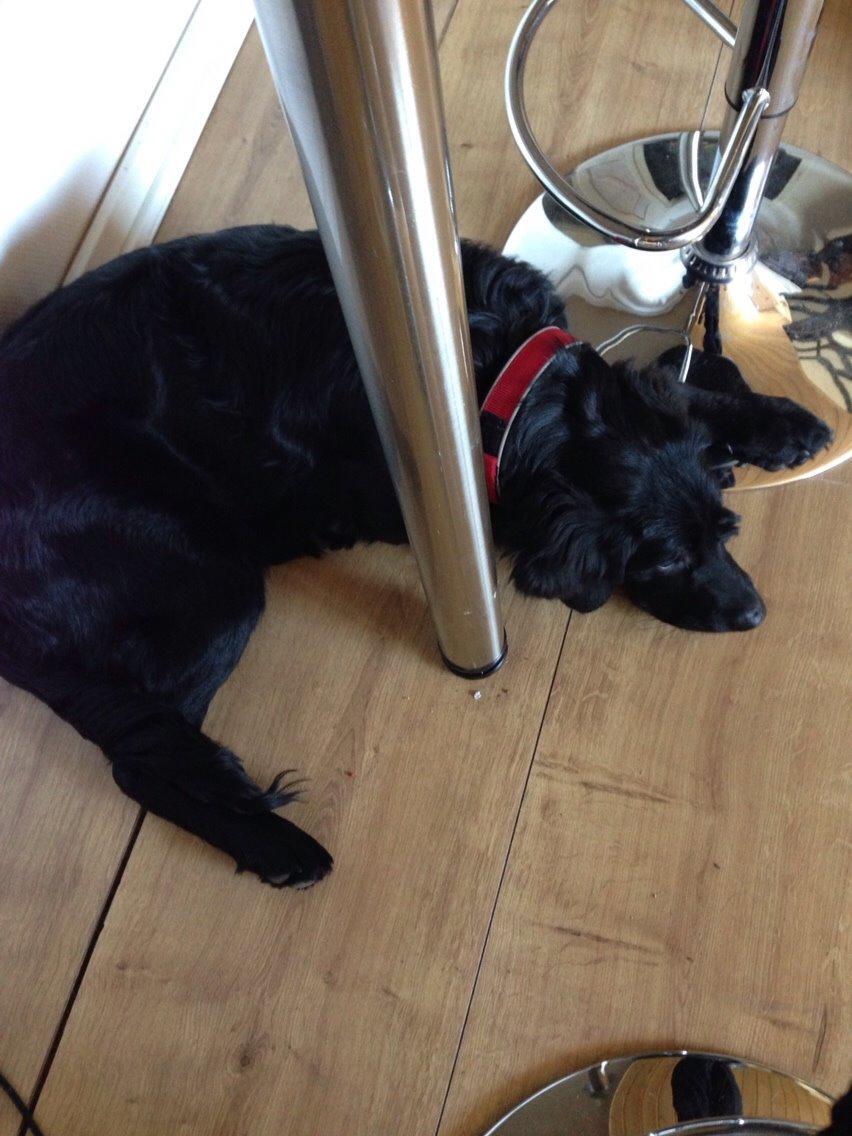 Blanding af racer Bentley billede 20