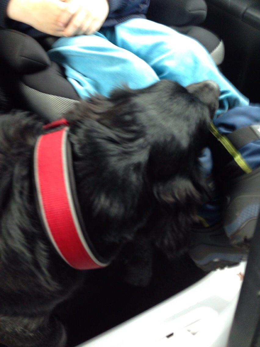 Blanding af racer Bentley billede 21