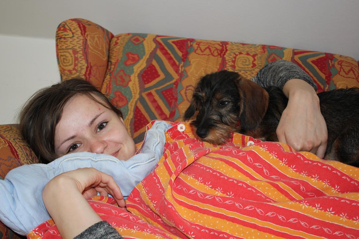 Gravhund Møffe - Mig og Møf <3 billede 14