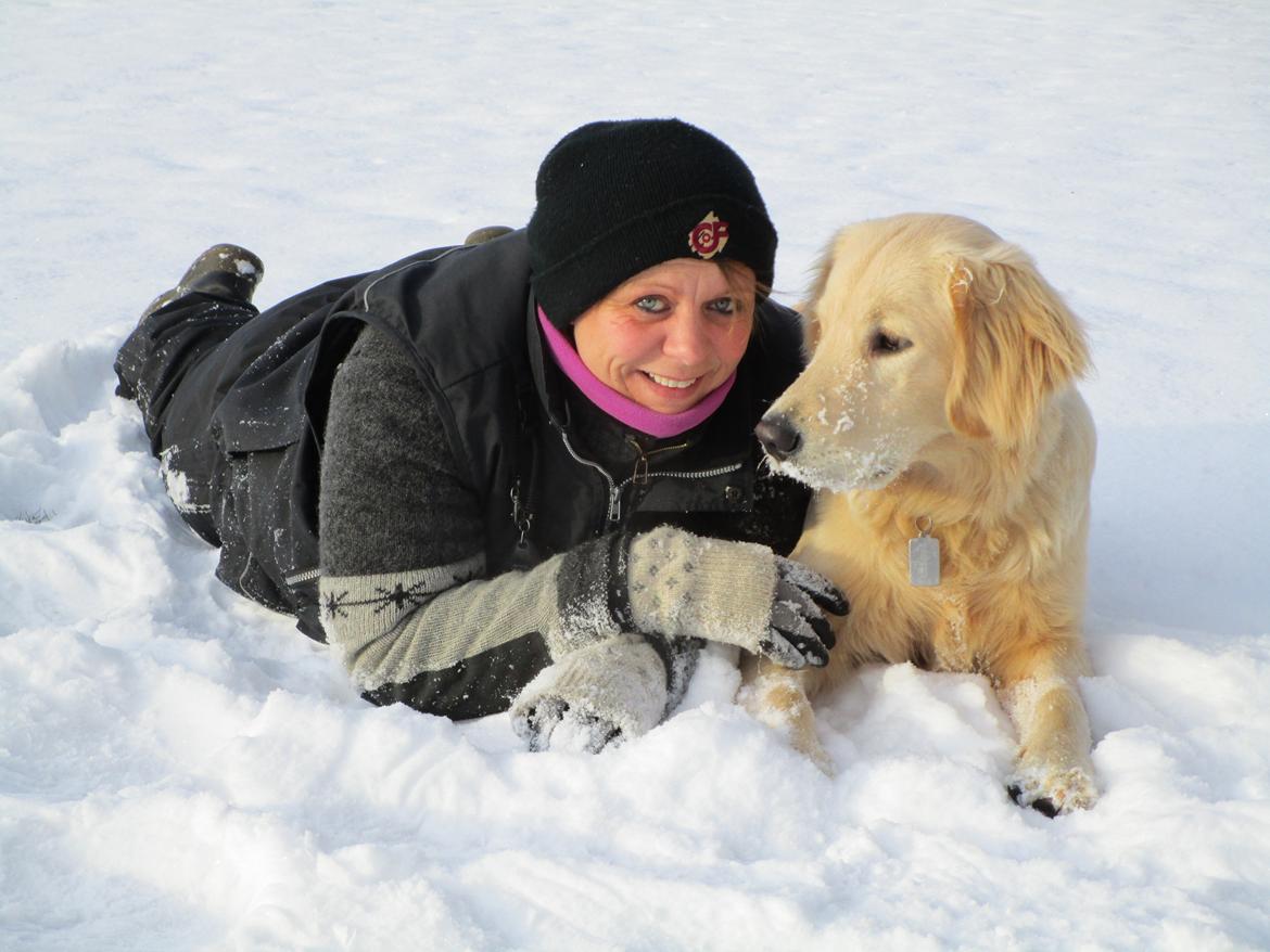 Golden retriever ludvig - 1 tur i steen. 10 måneder. billede 24