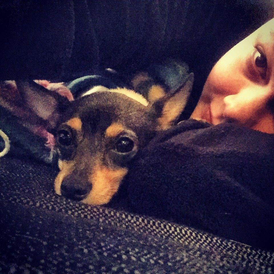 Blanding af racer Mille  billede 35