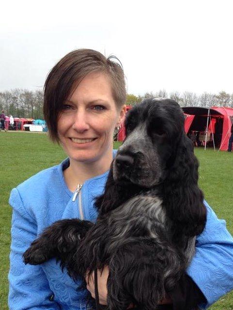 Cocker spaniel Sky - DKK Roskilde 26.april 2015, hvor Sky vandt juniorklassen med CK og blev kvalificeret til Crufts 2016. Han er kun 9 mdr billede 28