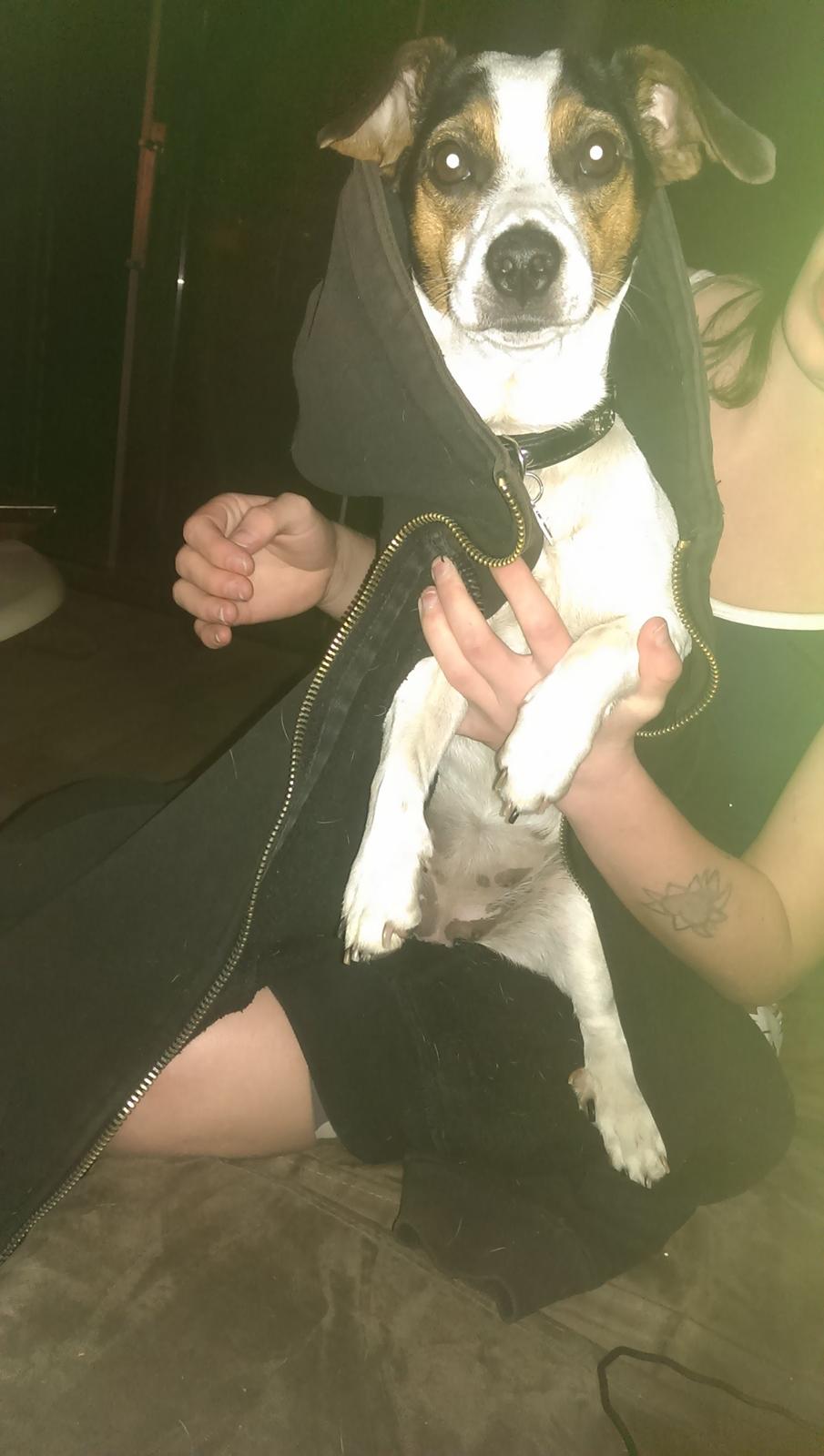 Blanding af racer Pepsi billede 6