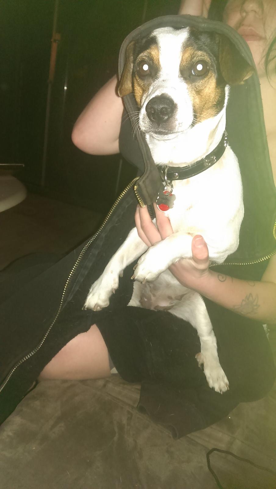 Blanding af racer Pepsi billede 7