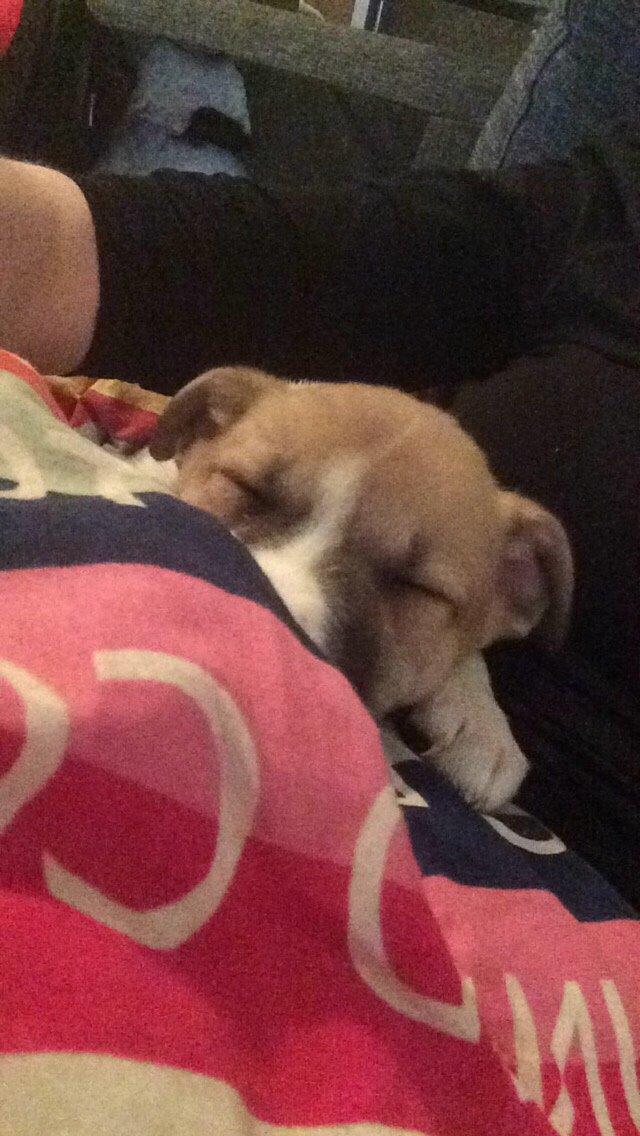 Blanding af racer Keyla <3 billede 8