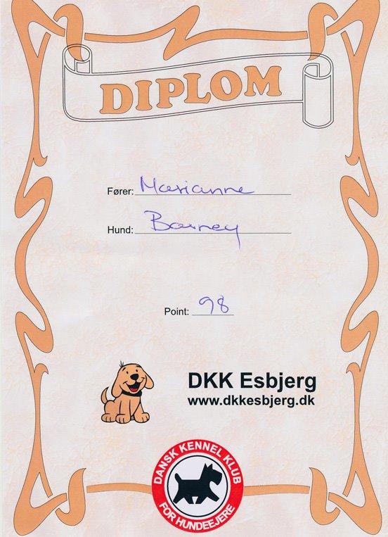 Bullmastiff Bullsaints Haress Al Dar - Barney færdig med hvalpe holdet d.5 maj var til prøve og fik 98 points ud af 100 :-) billede 27