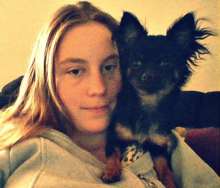 Chihuahua Paya - 01-05-2015 billede 24