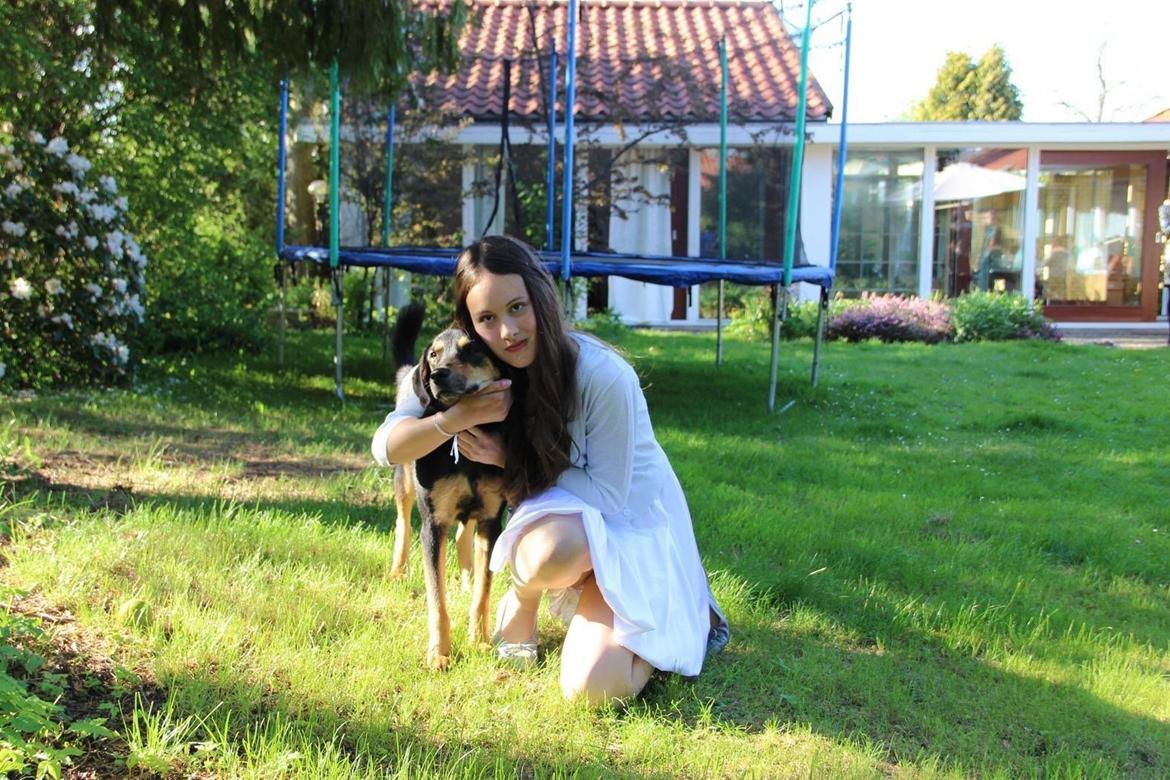 Blanding af racer Lucky billede 1