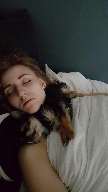 Blanding af racer Buddy billede 5