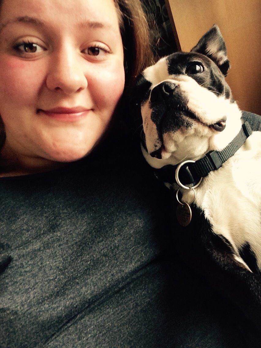 Boston terrier Cassiopeia  billede 16