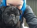 Mops Topper